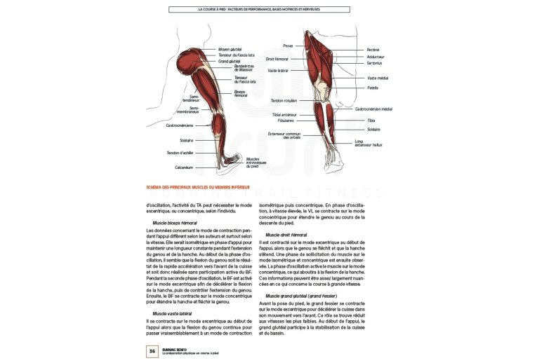 4Trainer Running Renfo - La pr�paration physique en course � pied