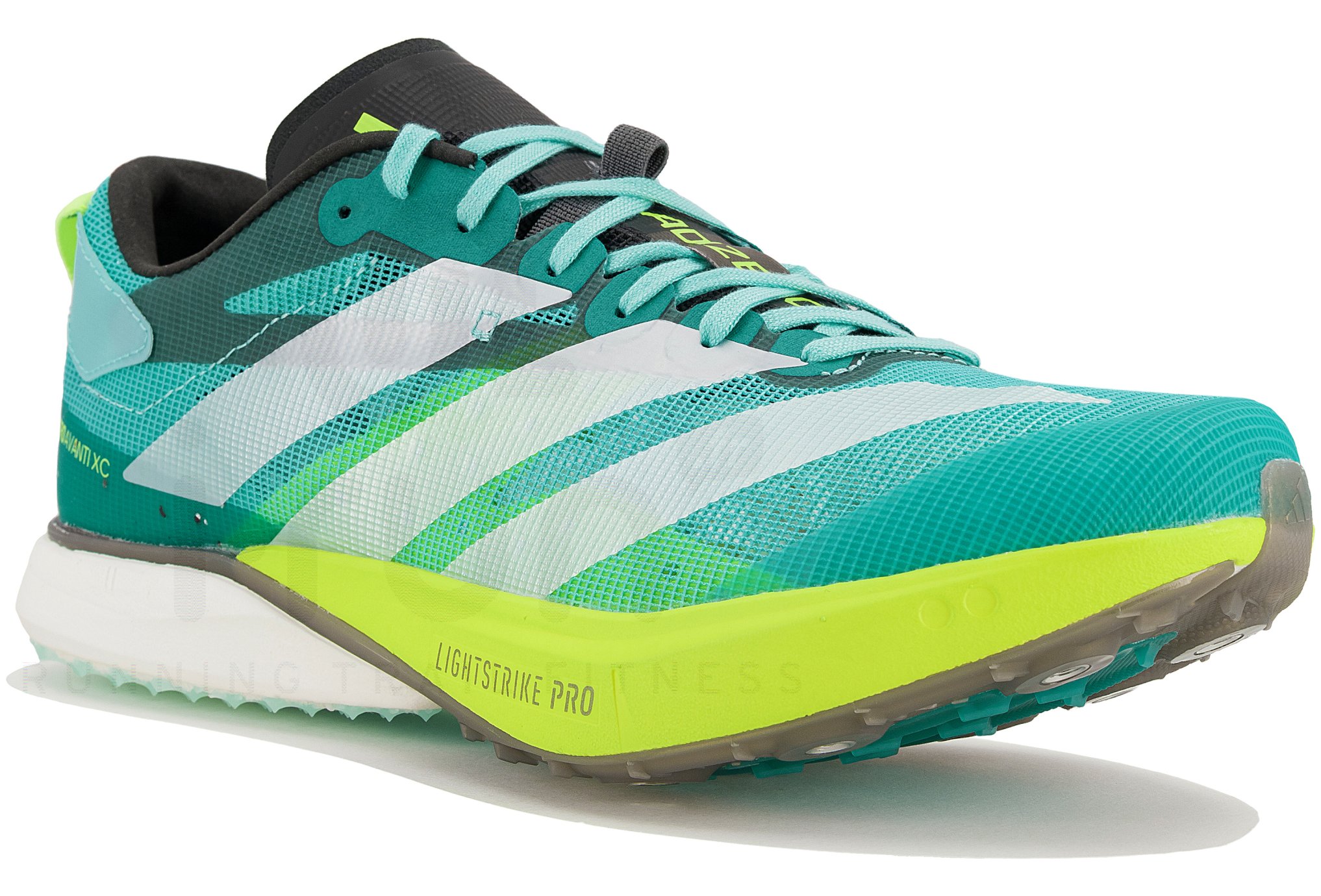 adidas adizero Avanti XC special offer | Women Shoes Cross adidas