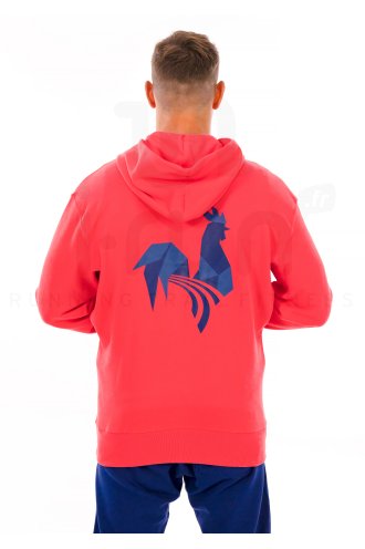 adidas Hoody France 