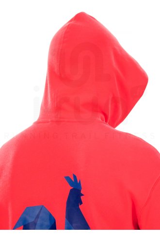 adidas Hoody France 