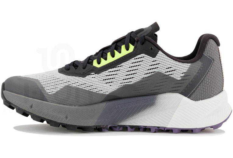 adidas Terrex Agravic Flow 2 Gore-Tex Damen