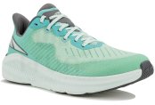 Altra Experience Form 