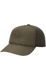 Arcteryx Bird