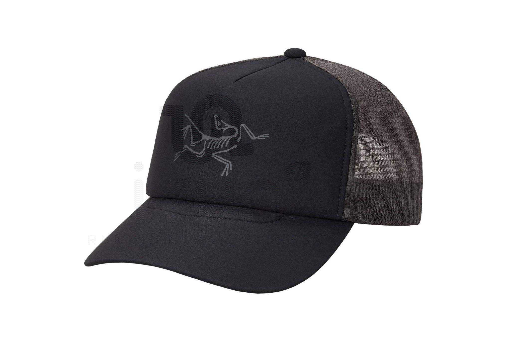Arcteryx Bird