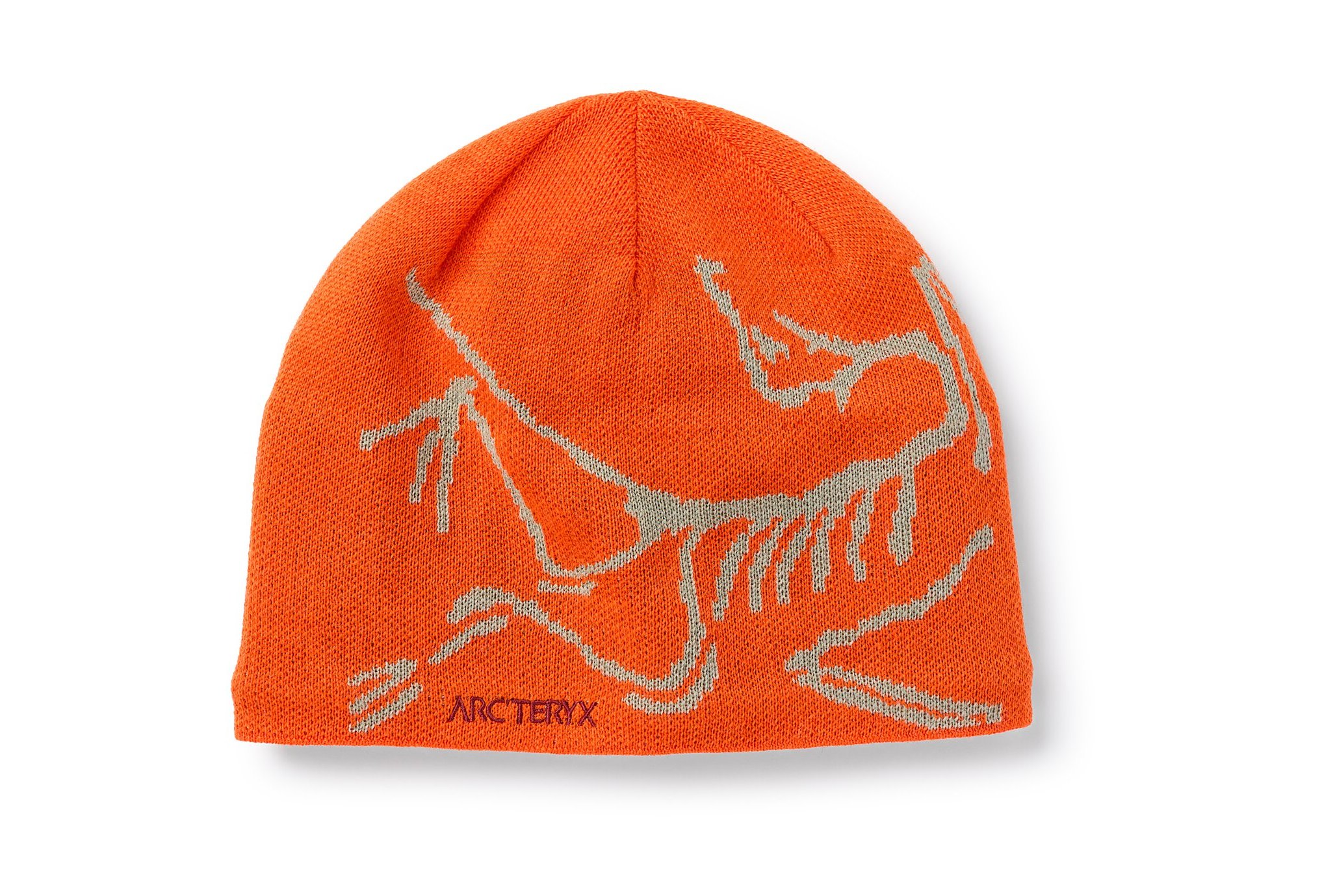 Arcteryx gorro Bird Head