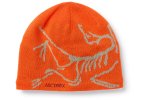 Arcteryx gorro Bird Head