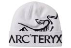 Arcteryx Bird Word