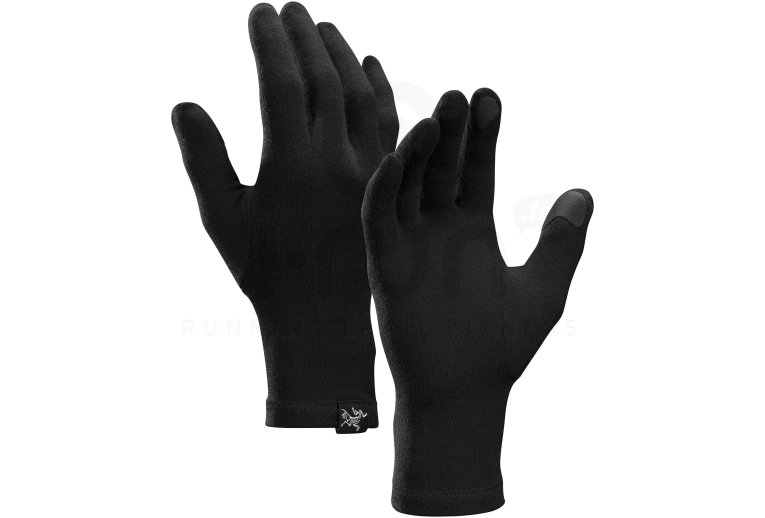 Arcteryx Gothic 