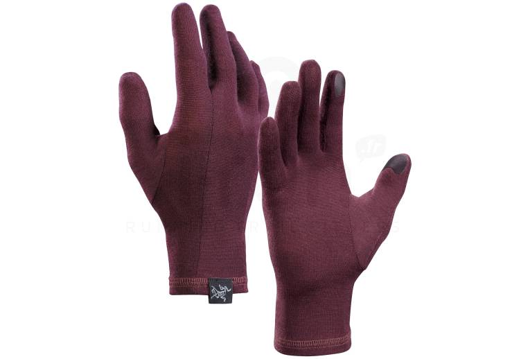 Arcteryx Gothic 