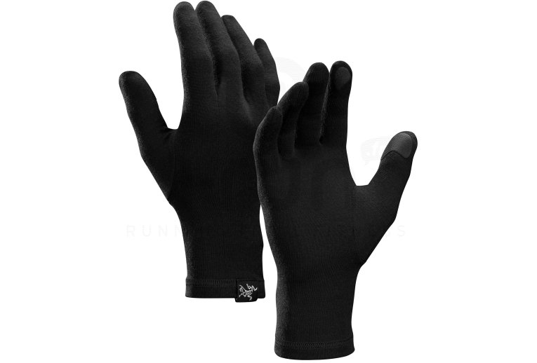 Arcteryx Gothic 