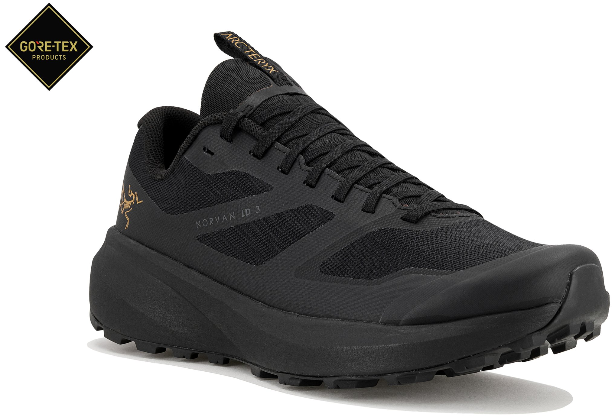 Norvan LD 3 Gore-Tex Herren