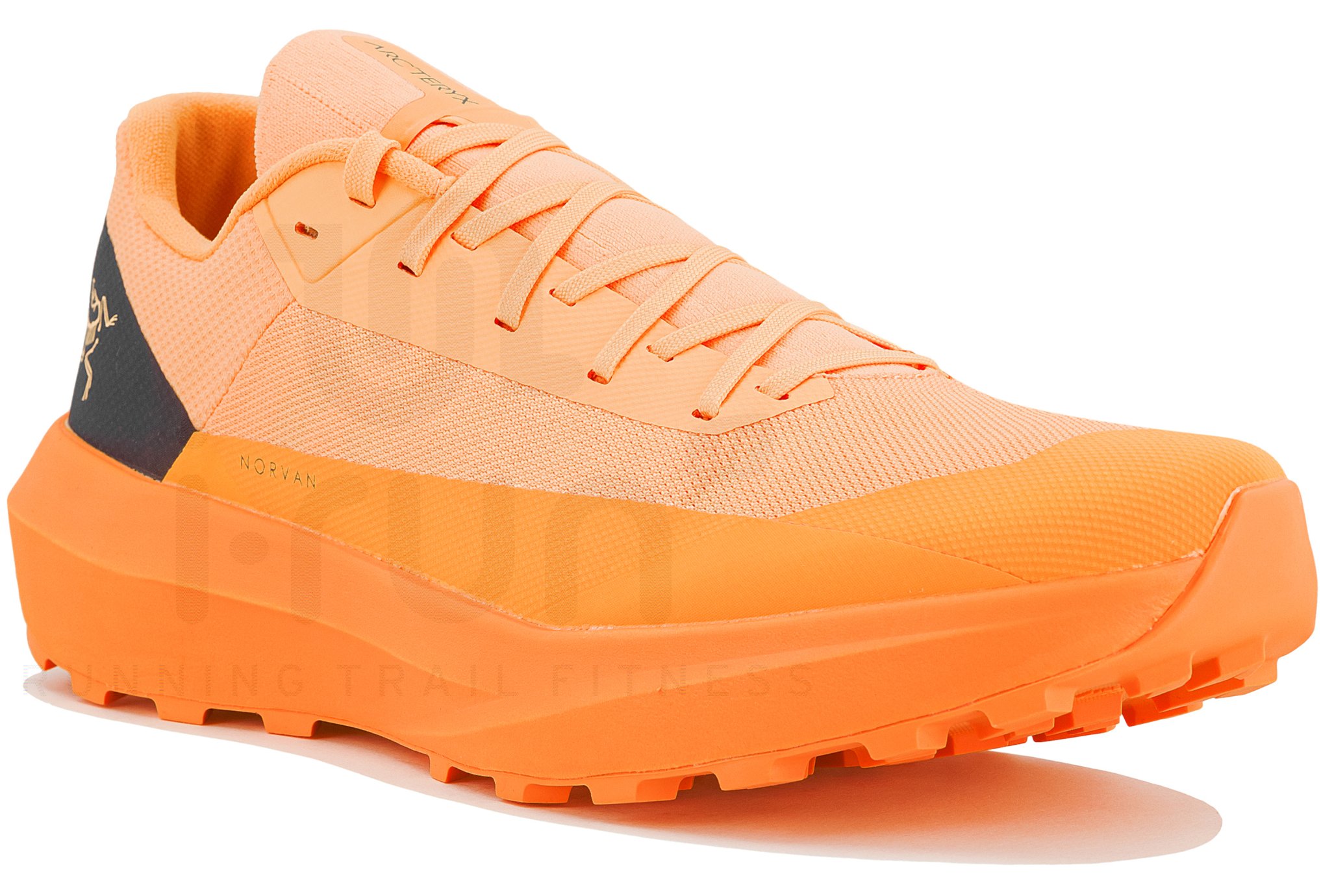 Arcteryx Norvan LD 4