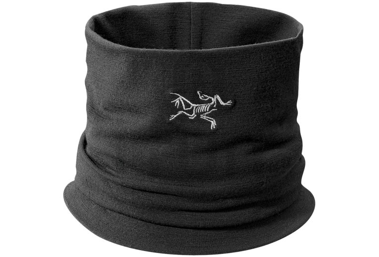 Arcteryx Rho LTW 