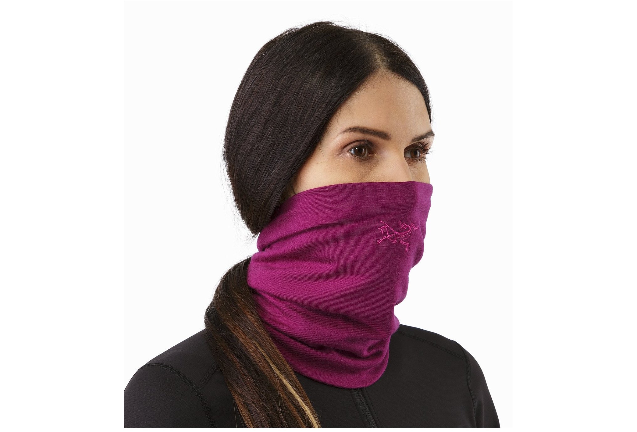 Arcteryx tubular Rho LTW