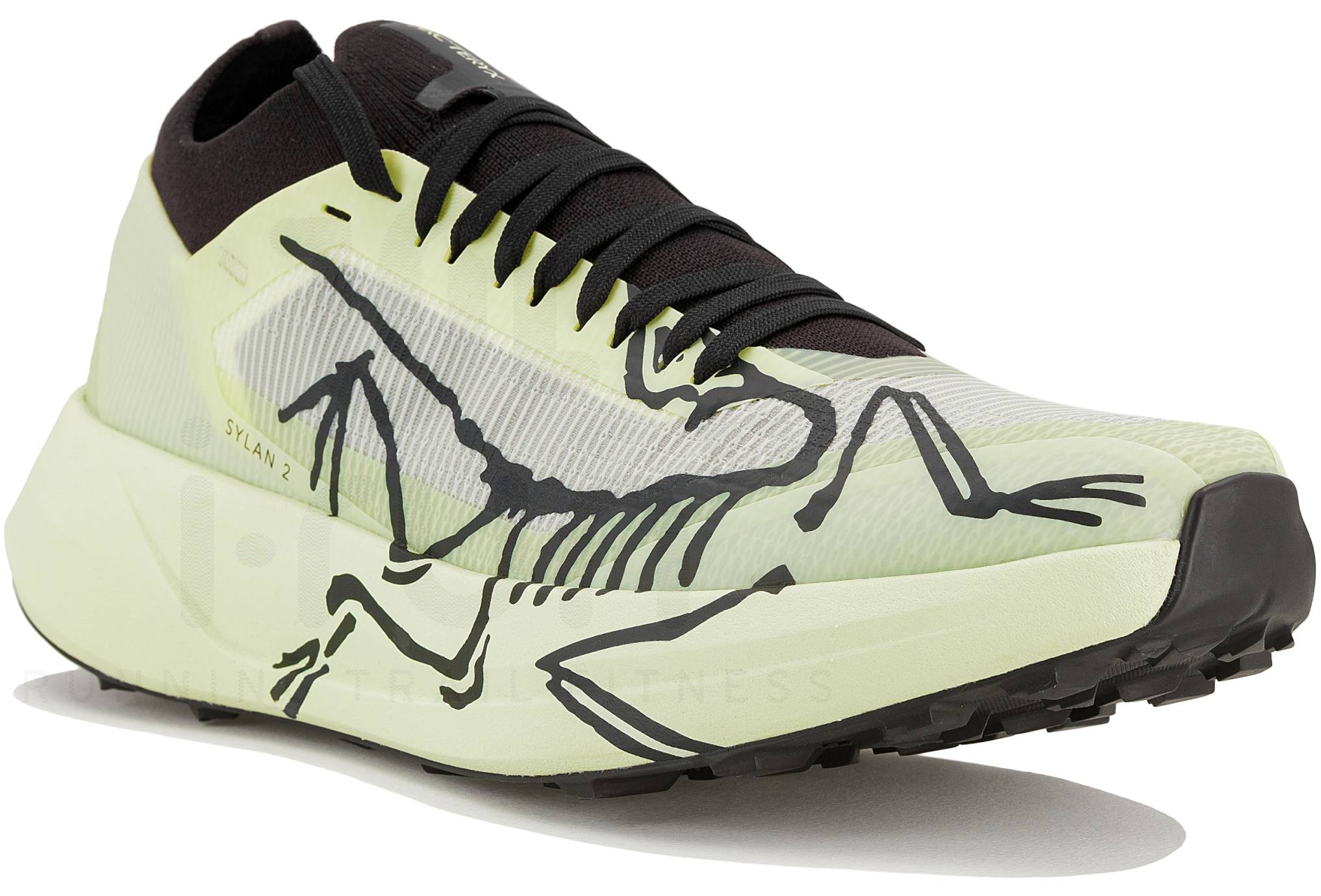 Arcteryx Sylan 2