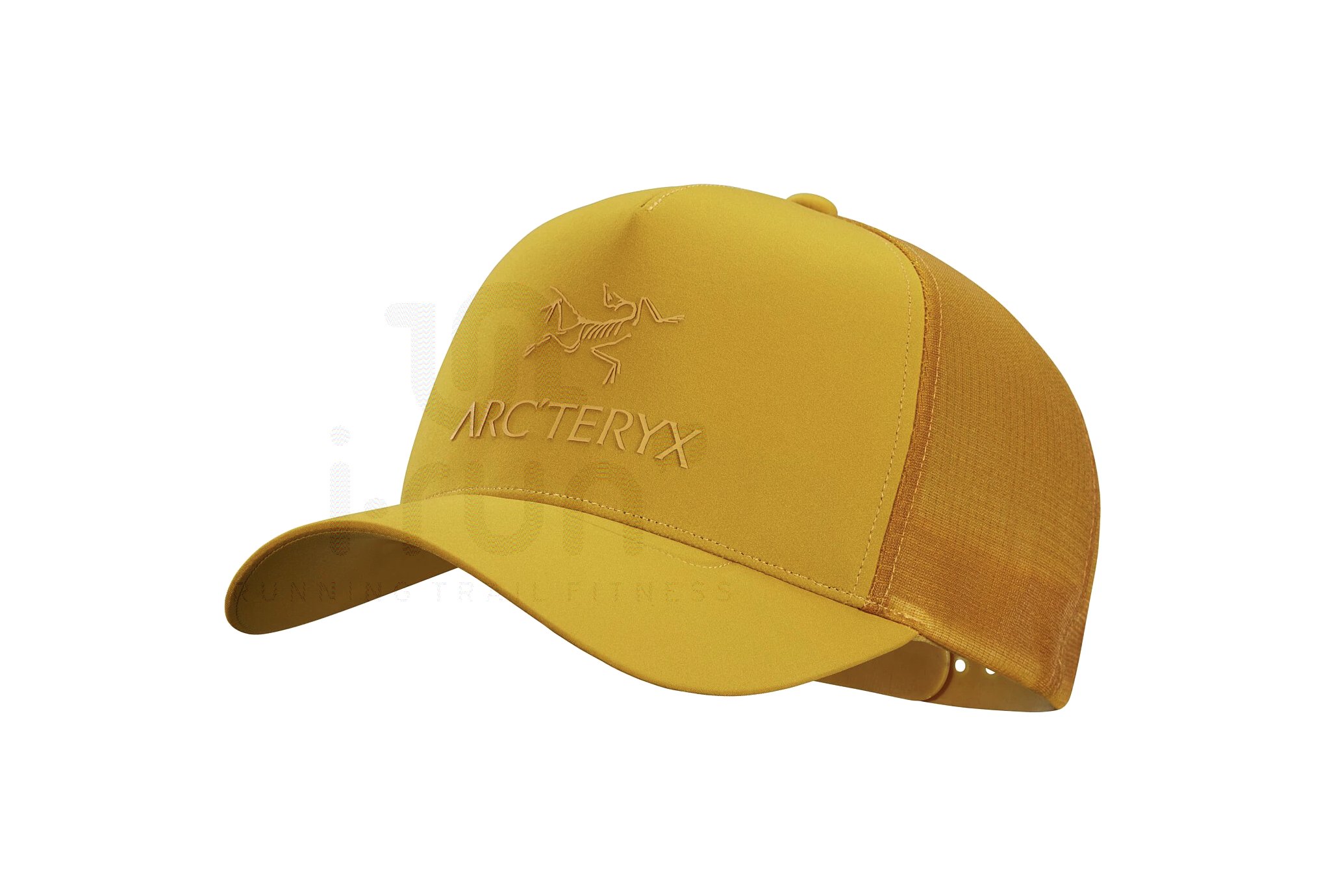 Arcteryx Trucker Logo