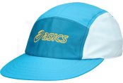 Asics 5 Panel 