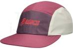 Asics 5 Panel