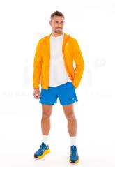 Asics Core Herren