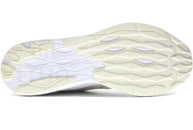 Asics EvoRide