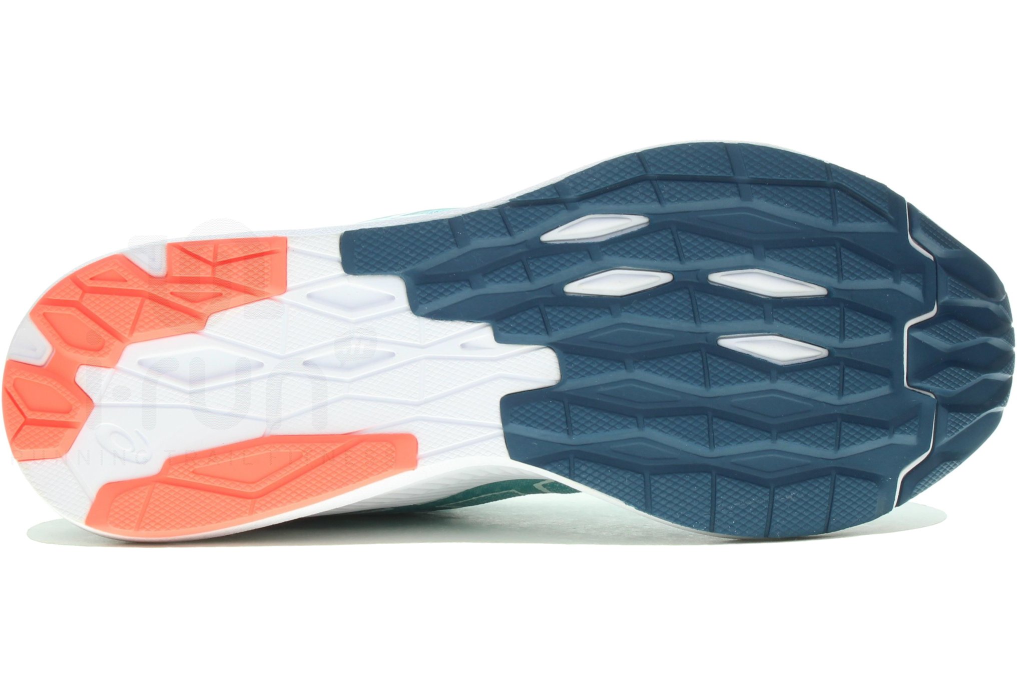Asics EvoRide