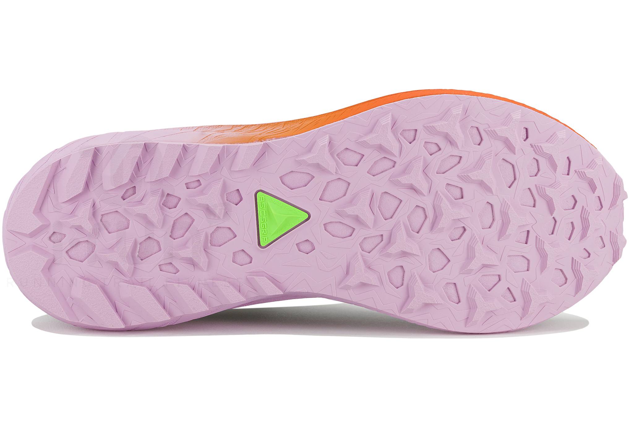 Asics Fuji Lite 5