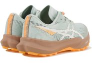 Asics Fuji Lite 6