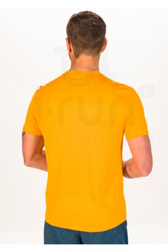 Asics Fujitrail Logo M 