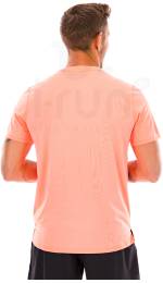 Asics Fujitrail Logo