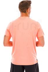 Asics Fujitrail Logo Herren