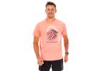 Asics Fujitrail Logo M