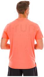 Asics Fujitrail Logo