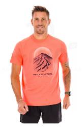 Asics Fujitrail Logo