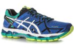 Asics Gel Kayano 21