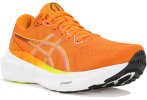 Asics Gel-Kayano 30