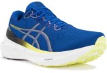 Asics Gel-Kayano 30
