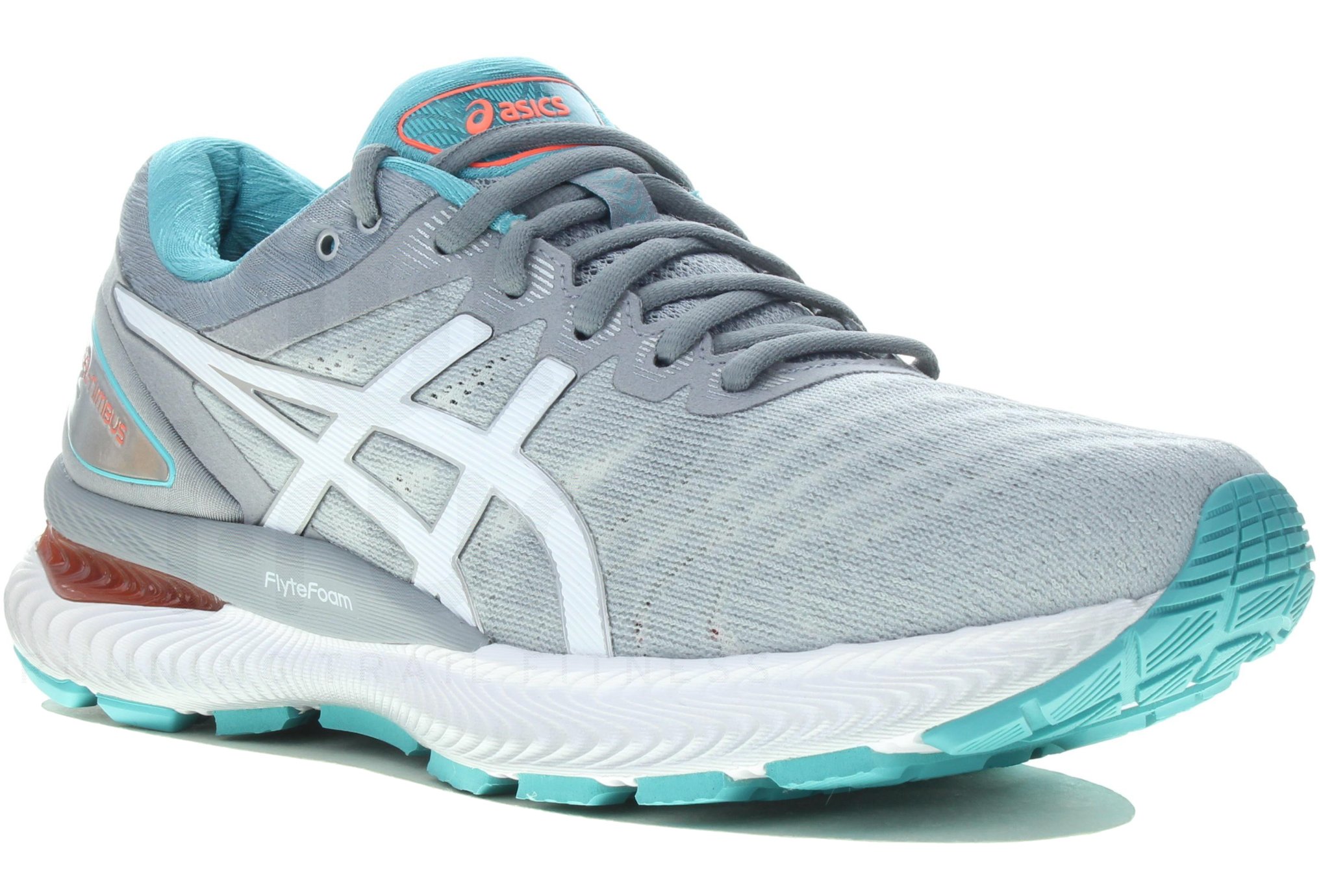 Asics Gel-Nimbus 22