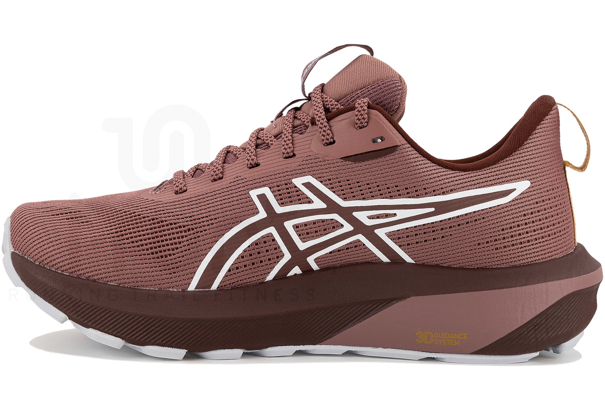 Asics GT-1000 14 TR Natuur Baden