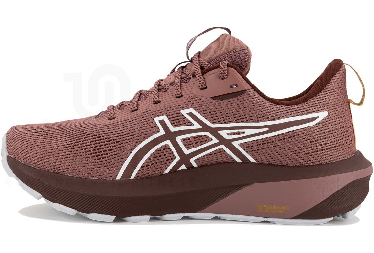 Asics GT-1000 14 TR Natuur Baden