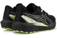 Asics GT-1000 15