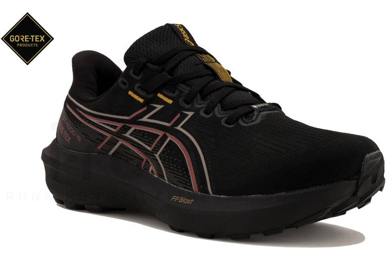 Asics GT-1000 15 Gore-Tex 