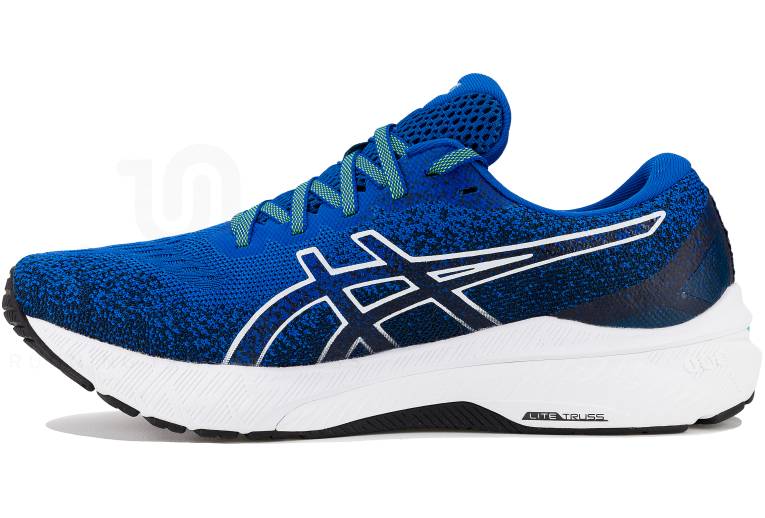 Asics GT-2000 10 MK M 