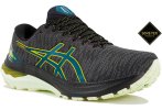 Asics GT-2000 11 Gore-Tex