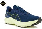 Asics GT-2000 12 Gore-Tex