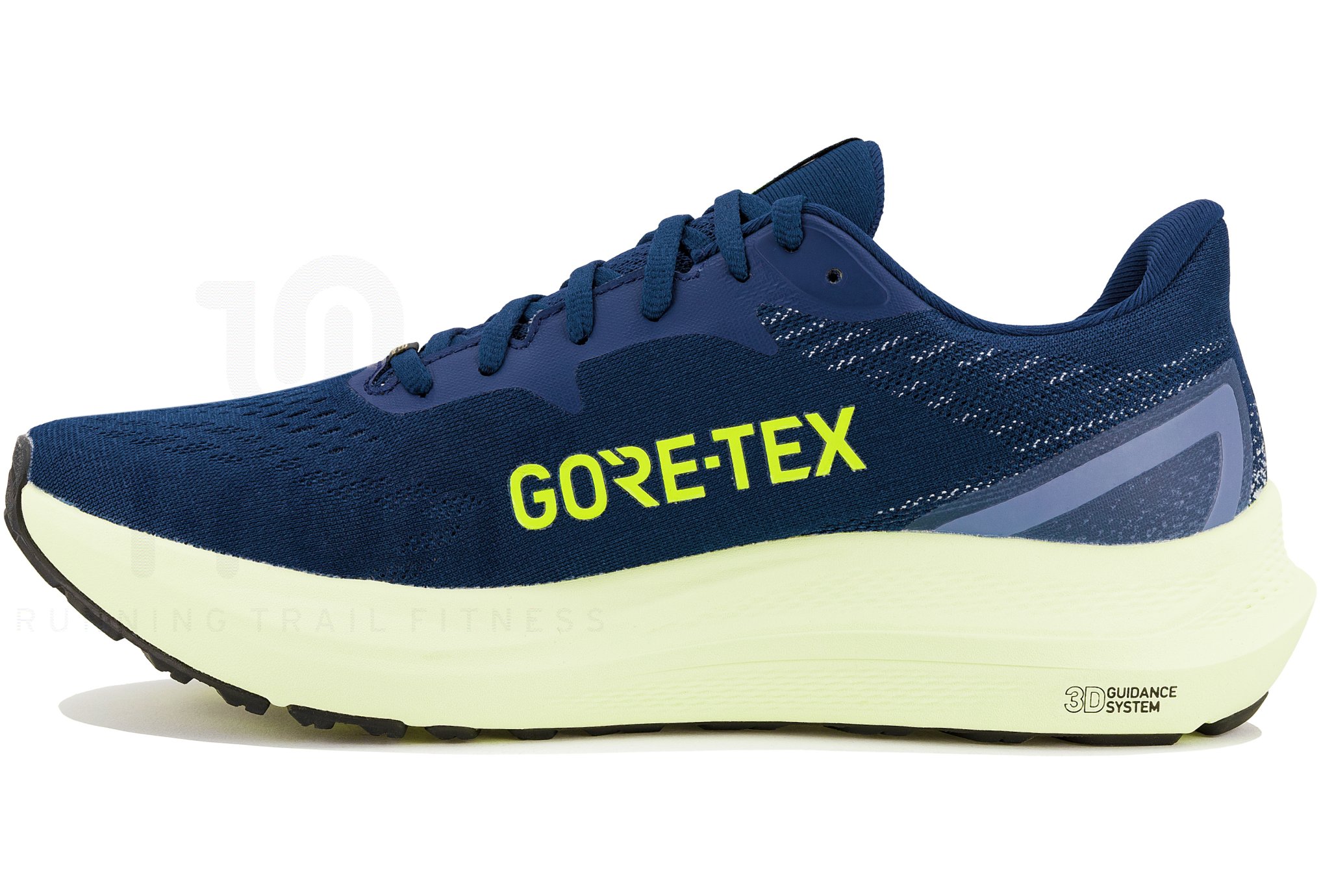 Asics GT-2000 12 Gore-Tex