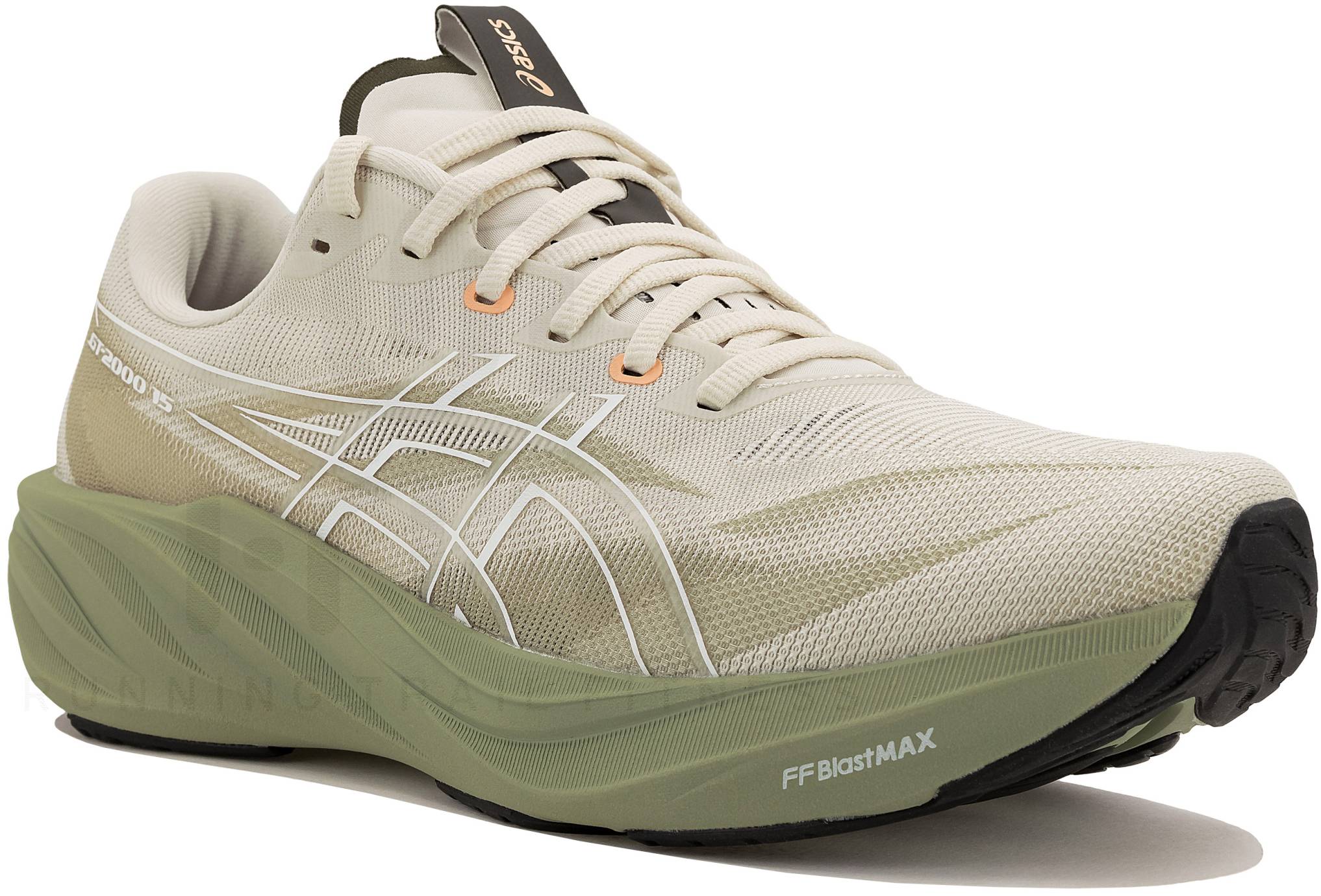 Asics GT-2000 15
