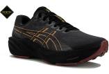 Asics GT-2000 15 Gore-Tex