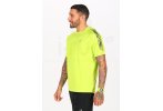 Asics camiseta manga corta Icon