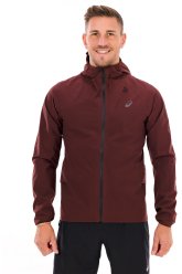 Asics Metarun Waterproof Herren