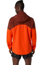Asics Metarun Waterproof Herren
